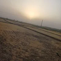 زمین مناسب جهت دامداری|فروش دفتر صنعتی، کشاورزی، تجاری|سبزوار, قصبه شرقی|دیوار