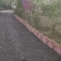 برش درخت وعلف زنی و هرس|خدمات باغبانی و درختکاری|رشت, توشیبا|دیوار