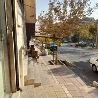 ۵۰ متر مغازه لاله صحرا