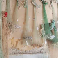 تورماهیگیری بدون واسطه