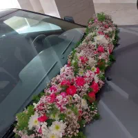 گل آرایی|خدمات پذیرایی، مراسم|دماوند, گیلاوند|دیوار