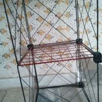 قفسه کتاب