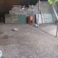 زمین ۱۲۰ متری دیوارکشی شده|فروش زمین و ملک کلنگی|دلند, |دیوار