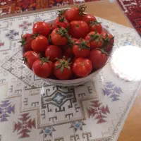 گوجه گیلاسی ورب گوجه فرنگی وگوجه کاملاً گوشتی