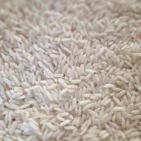 برنچ طارم محلی درجه یک|خوردنی و آشامیدنی|یزد, |دیوار