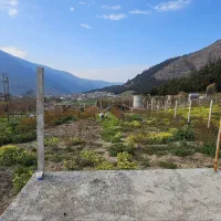 زمین باقرآباد رامیان|فروش زمین و ملک کلنگی|رامیان, |دیوار