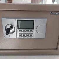 گاو صندوق safe box