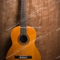 اموزش گیتار