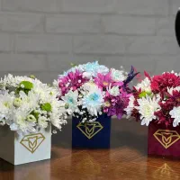 باکس مینیمال