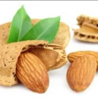انواع بادام به قیمت تجاری درب منزل شما نقدی