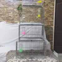 قفس کوچک وبزرگ  پرنده جوجه پران