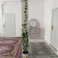 گل پتوس وشامادورا|گل و گیاه طبیعی|قوچان, |دیوار