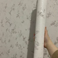 نصاب کاغذ دیواری حرفه ای و بدون کوچیکترین نقصی|خدمات پیشه و مهارت|ماسال, |دیوار