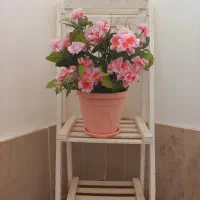 گل و گلدان و استند