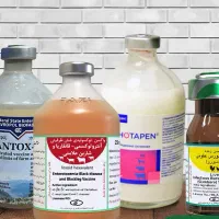 فروش واکسن دامپزشکی