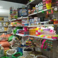 پرنده|پرنده|مشهد, همت آباد|دیوار