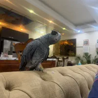 دستگاه تست قند خون قیمت عمده