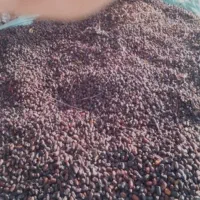 خریدار ضایعات|خدمات پیشه و مهارت|بم, |دیوار