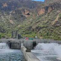 فروش پرورش ماهی قزل آلا