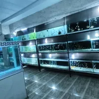آکواریوم گوپی گیاه فلاور دیسکس گلدفیش آروانا کوی