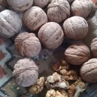 گردو فروشی
