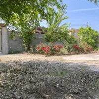 نوساز /سندتک برگ /انشعابات خصوصی|فروش خانه و ویلا|دابودشت, |دیوار