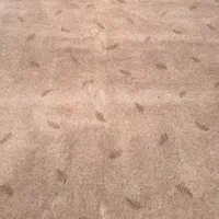 پالاز موکت