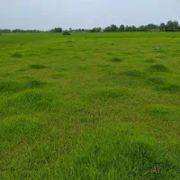 8پلاک زمین سرمایه گذاری سه پلاک موجود|فروش زمین و ملک کلنگی|خشکبیجار, |دیوار