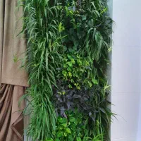 دیوار سبز طبیعی|گل و گیاه طبیعی|تهران, سعادتآباد|دیوار
