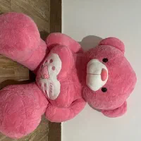 شاسخین درجه یک بدون استفاده