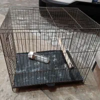 قفس پرنده بسیار سالم و تمیز