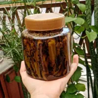 فلغل کبابی تند با طعمی بینظیر