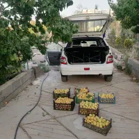 باغ شهری دهشیخ