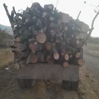 خرید برش انواع چوب|خدمات باغبانی و درختکاری|نهاوند, |دیوار