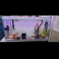 اکواریوم ماهی کامل فیلتر سطلی بخاری پمپ هوا تصویه