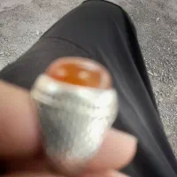 نقدی|جواهرات|نرماشیر, |دیوار