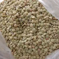 عدس فروشی