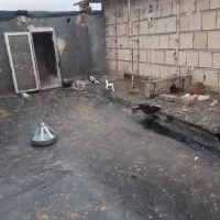 سبز پلاکی مسافتی کفتر