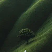 امل مرزانکلا خانه تمیز