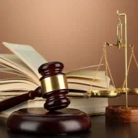 به دنبال کارآموز وکالت پیگیر سمج هستم