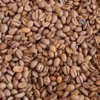 نیروی کار آقا برای قهوه خانه