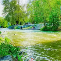سوییت-اقامت-دررود-قدمگاه-آبشار