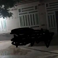 همخونه-میشم