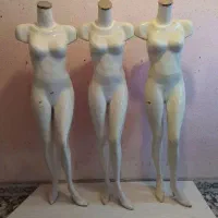 مانکن