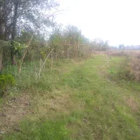 اجاره-زمین-باغی-و-کشاورزی