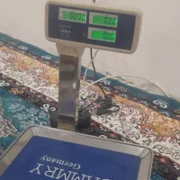 شوش هفت تپه....