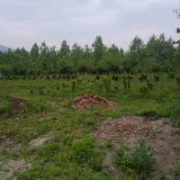 زمین گل کاری و گلخونه|فروش دفتر صنعتی، کشاورزی، تجاری|خرم‌آباد (تنکابن), |دیوار