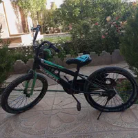 دوچرخه 20شاهین