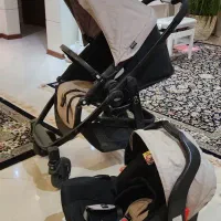 کالسکه و کریر آمریکایی گراکو