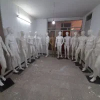 مانکن مردانه